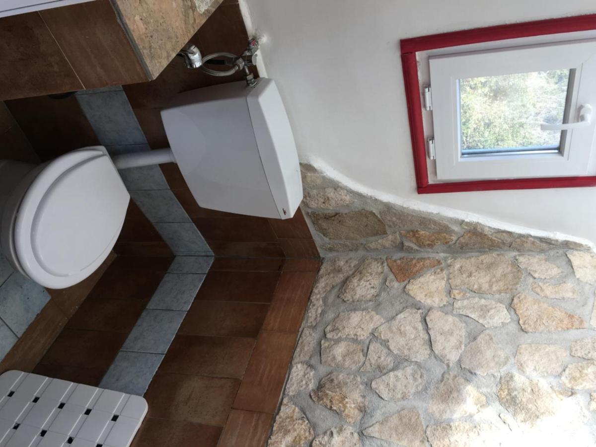 Camilla House Bed and Breakfast Santa Marinella Exteriör bild